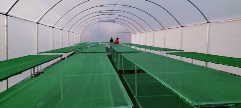 Inside completed greenhouse with green growing benches and workers